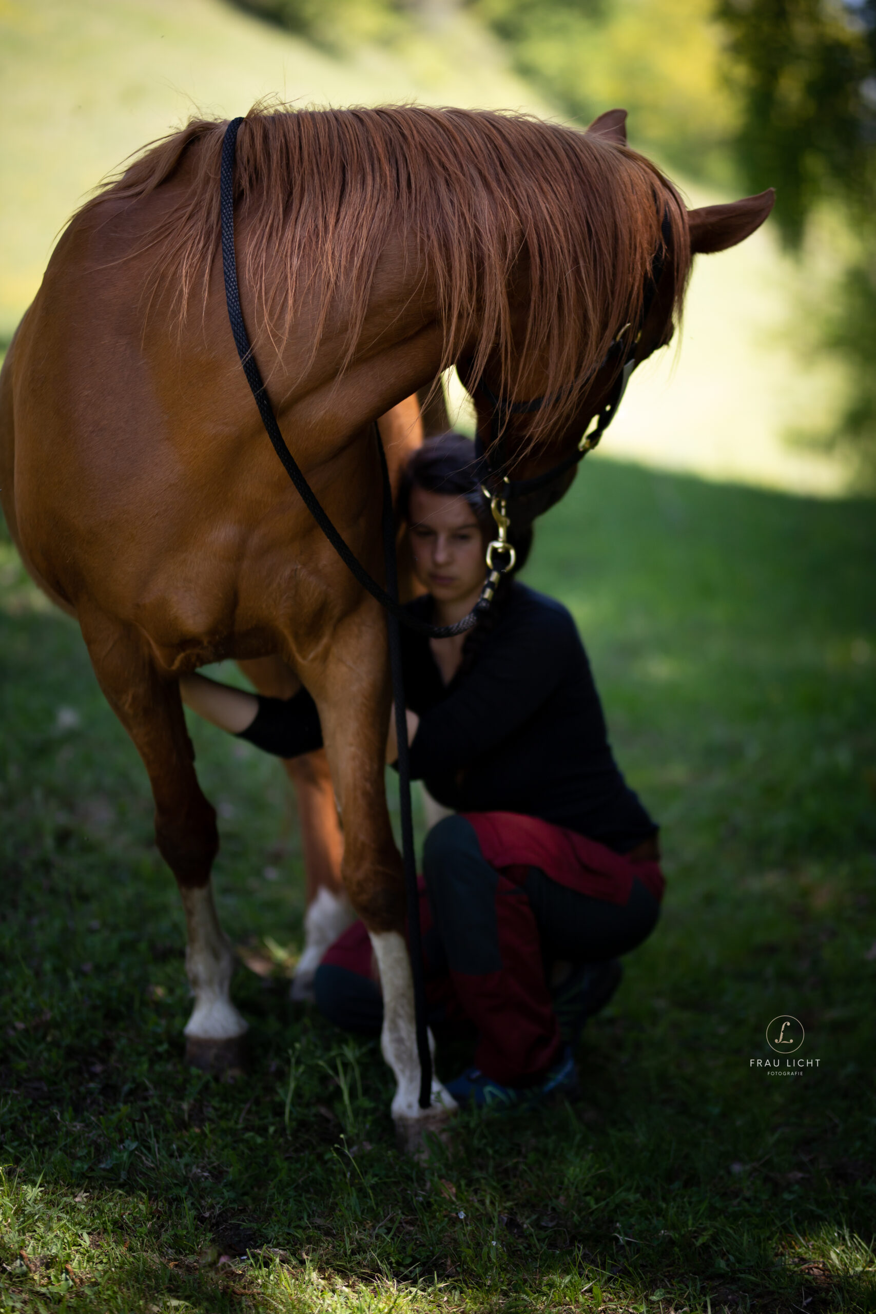 Vanessa Gfrerer mit Pferd bei der Tiertherapie