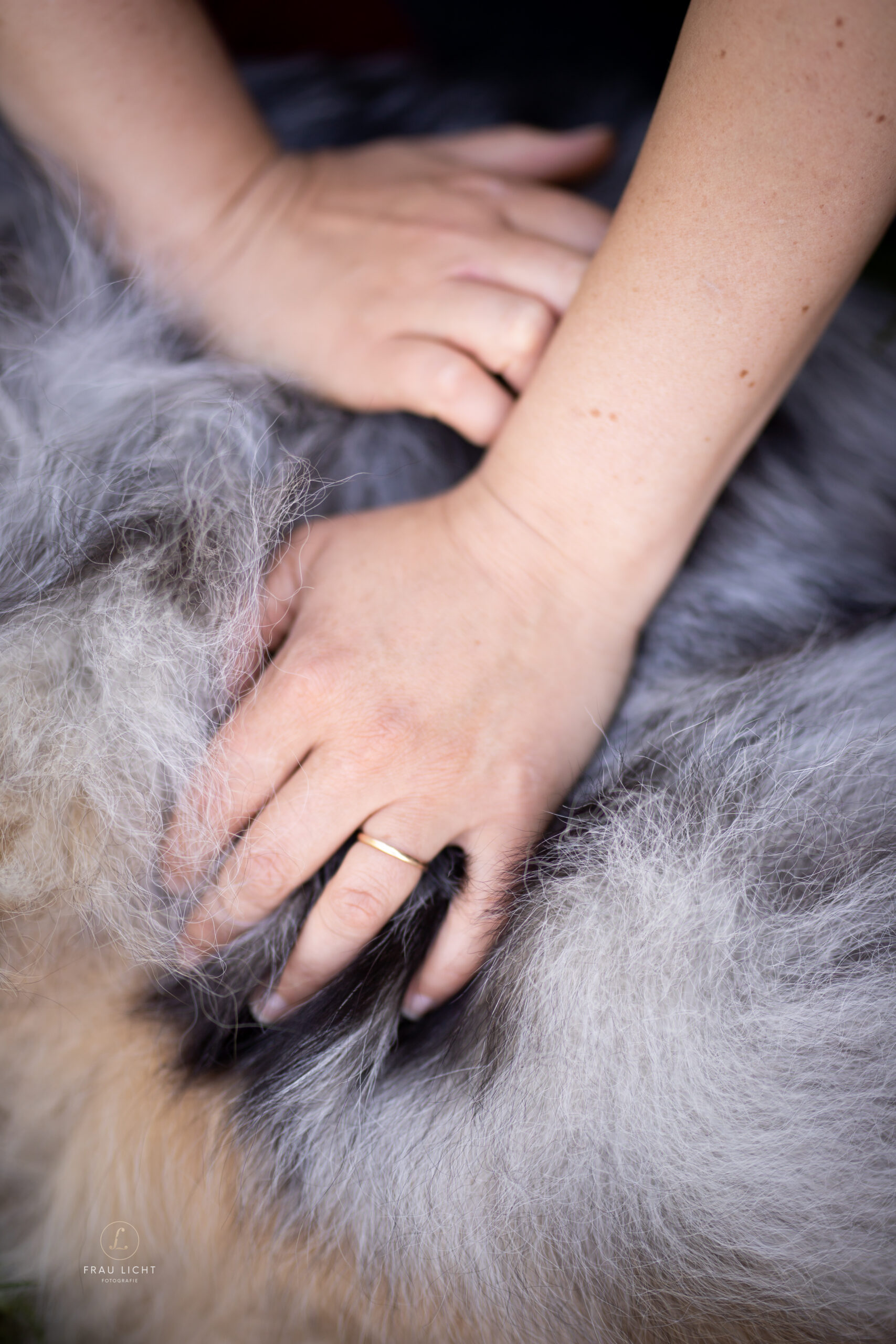 Vanessa Gfrerer mit Hund bei der Tiertherapie